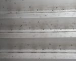 20250505_194453 (1)