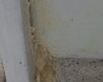 20250505_195916 (1)